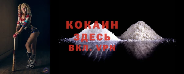бошки Каменка
